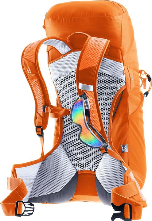 Actual product image Deuter AC Lite 22 (22 l)