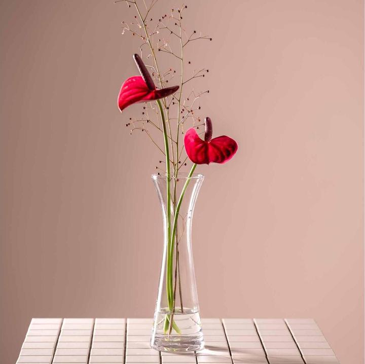 Actual product image Leonardo Vase Gia 26 cm, Transparent (1 x, 26 x 8 x 26 cm, 2146.50 l)