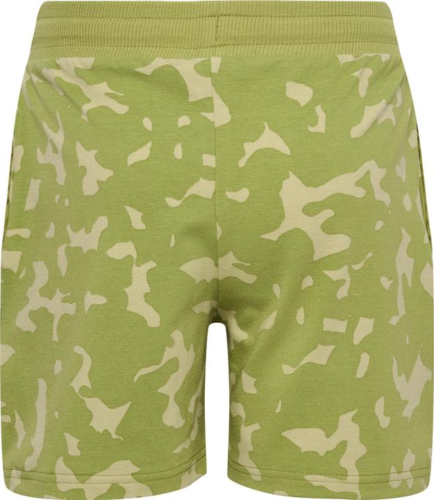 Actual product image hummel Hmlrush Aop Shorts (116)