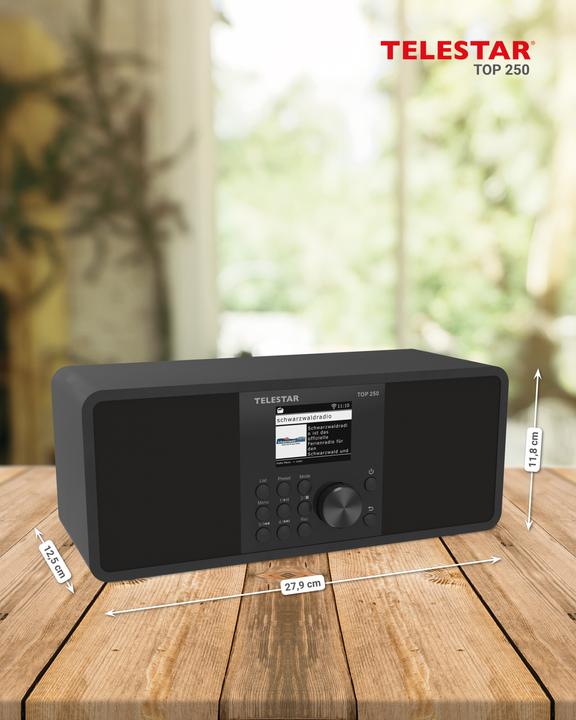 Immagine prodotto Telestar TOP 250 DAB+ Internetradio schwarz (Web radio, DAB, VHF, WiFi, Bluetooth)