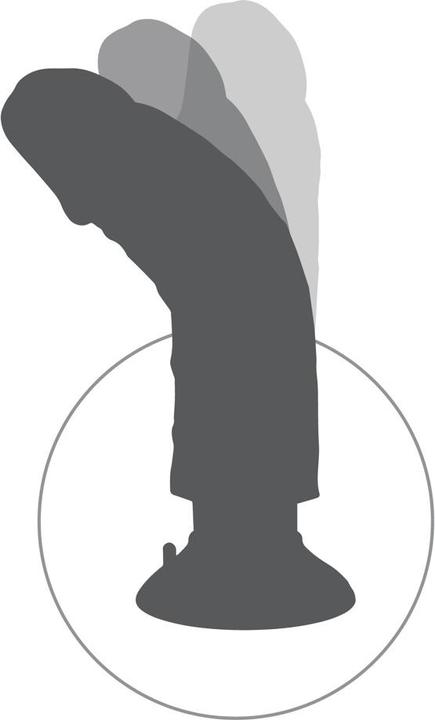 Image du produit Pipedream King Cock