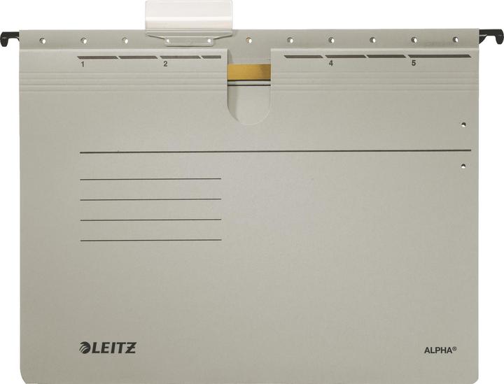 Leitz ALPHA Hängehefter, A4, kaufmännische Heftung, grau (A4, 25 x)