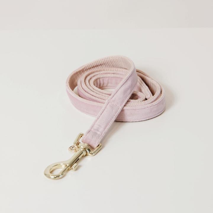 Produktbild Kentucky Dogwear Hundeleine Velvet (L, Hund, Hundesport)