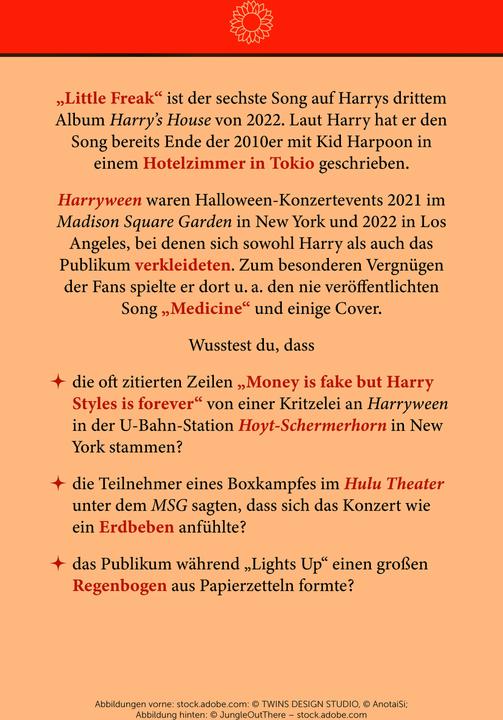 Produktbild Fan-Box Harry Styles (30 Stk.)