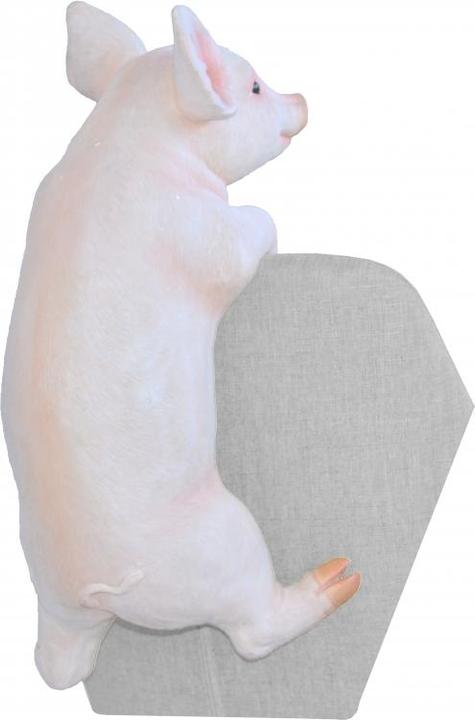 Actual product image Möbel Direkt Online Olli