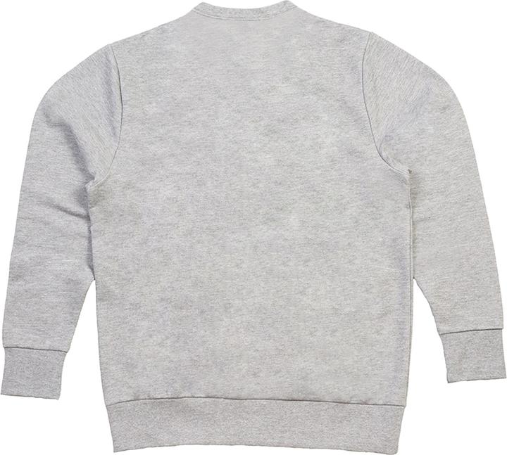 Image du produit Le sweat-shirt (S)