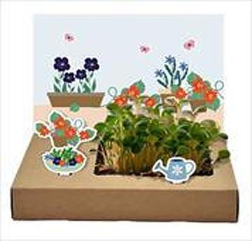Produktbild Wunderle Mini-Garten Essbare Blüten (1 x)