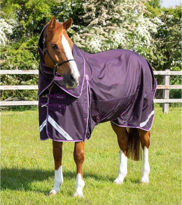 Premier Equine Buster 70 g