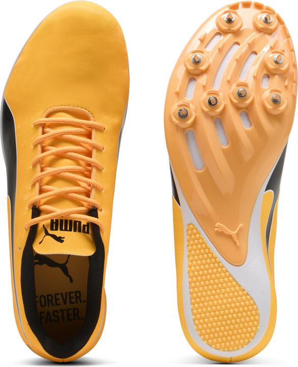 Produktbild Puma evoSPEED Sprint 14.5 (44.5)