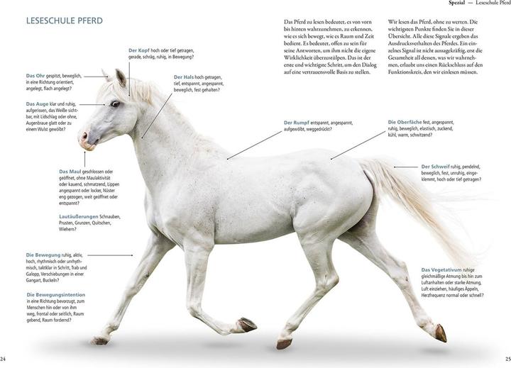 Actual product image Kosmos Glücksschmiede für Pferde (German, Anne Krüger-Degener, 2022)