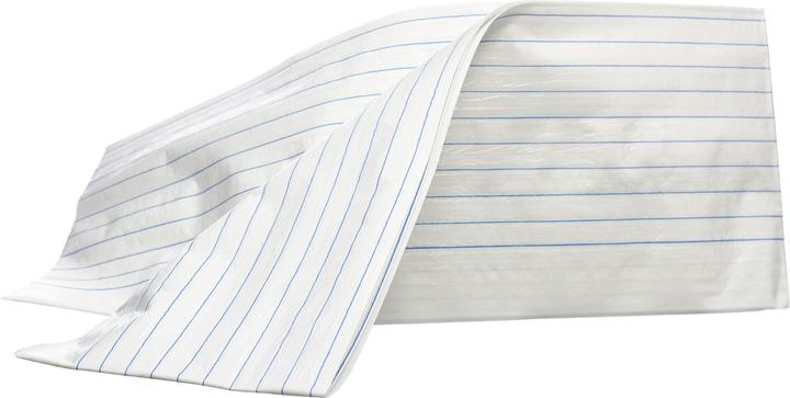 Actual product image Lohmann & Rauscher Carrying sheet (100 x)