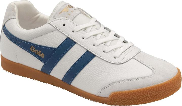 Gola Harrier (43)