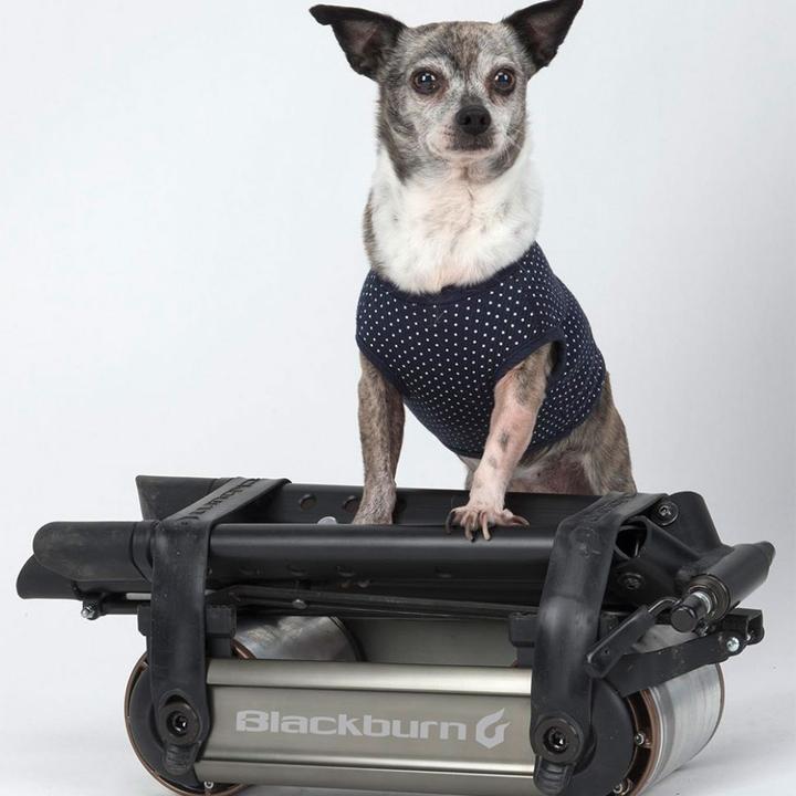 Produktbild Blackburn Raceday Fluid Trainer