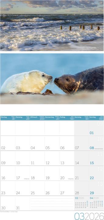 Produktbild Colours of Nature Kalender 2026 - 30x30 (30 x 30 cm, Harter Einband, Deutsch, Französisch, Englisch)