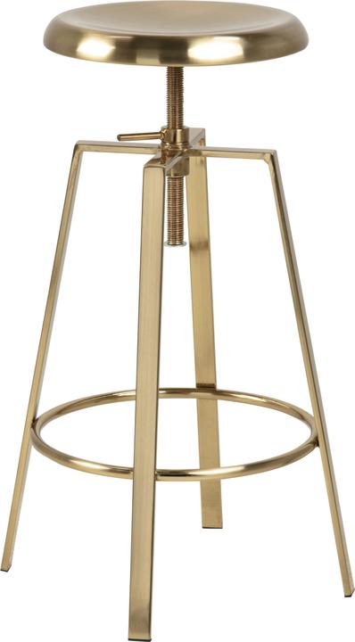 AC Design Goose
