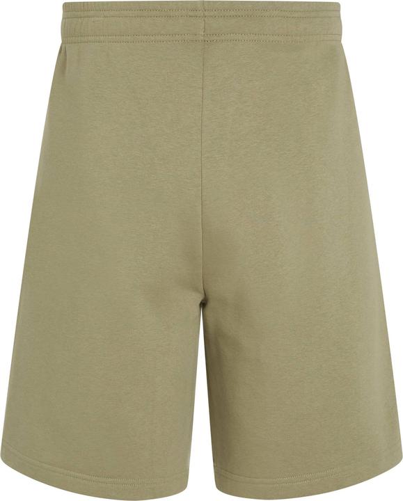 Actual product image O'Neill The Future Surf Society Shorts (M)
