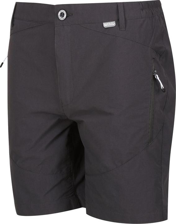 Actual product image Regatta Mens Highton Walking Shorts (46)