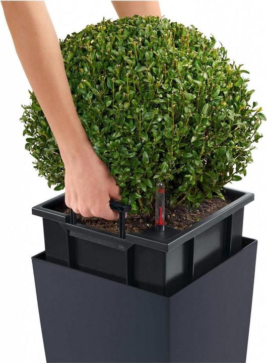 Produktbild Lechuza Cubico Color (22 cm)