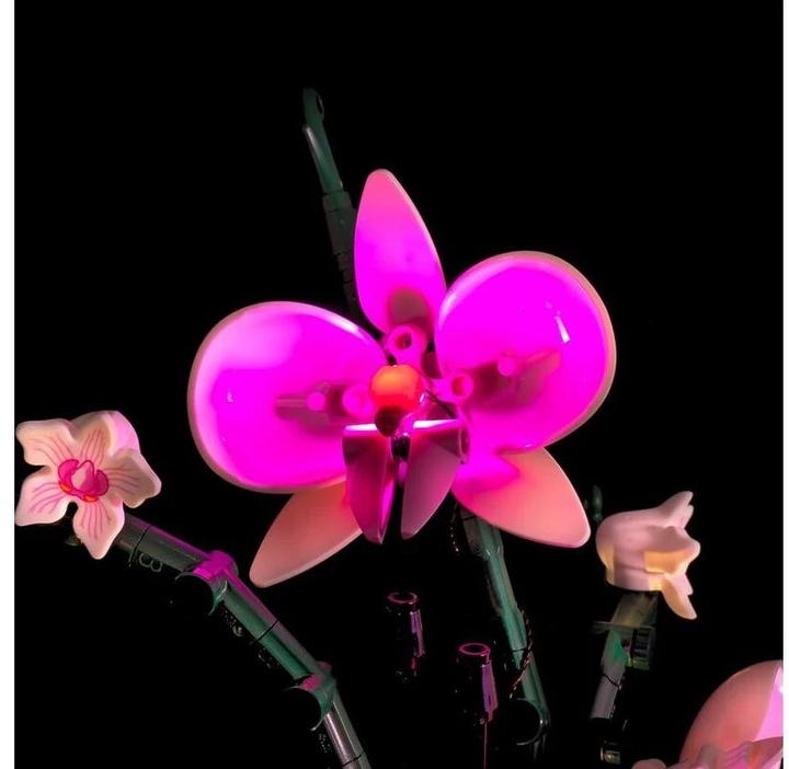 Produktbild Light my bricks LED Licht Set für LEGO 10311 Orchidee
