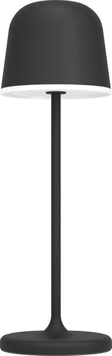 Wit