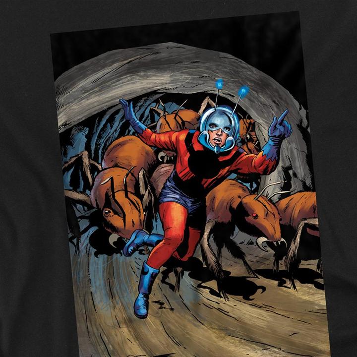 Actual product image Ant-Man and the Wasp: Quantumania Unisex Adult Heroic T-Shirt (M)
