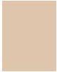 Produktbild Sensai Cellular Performance Cream Foundation (20)