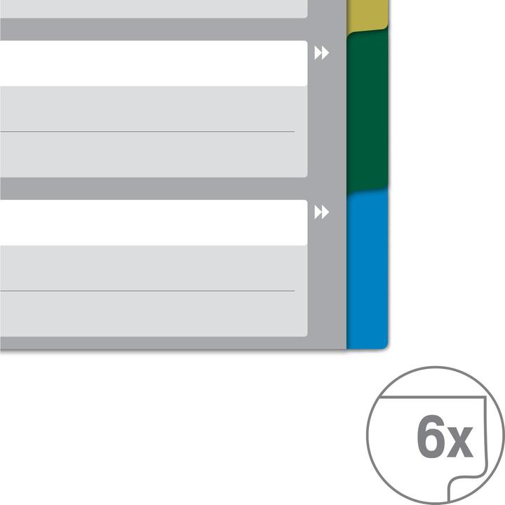 Actual product image von Hallers Blank index, A4, 1-5