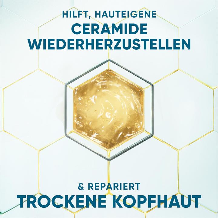 Produktbild Head & Shoulders Dermaxpro (250 ml, Flüssiges Shampoo)
