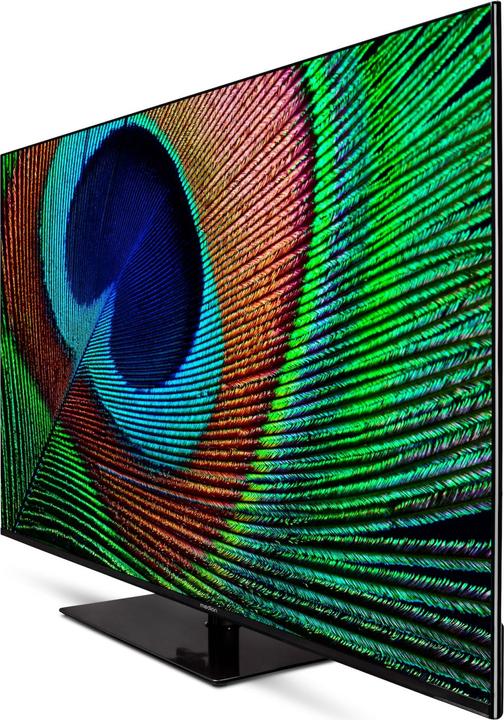 Image du produit Medion LIFE® X15573 (MD 30923) Téléviseur Android™ (55", LCD, 4K)