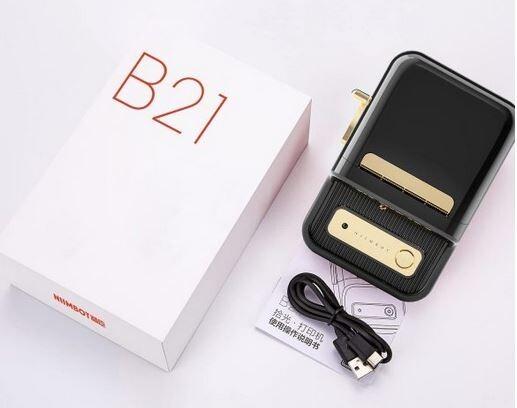 Actual product image Niimbot B21 (203 dpi)