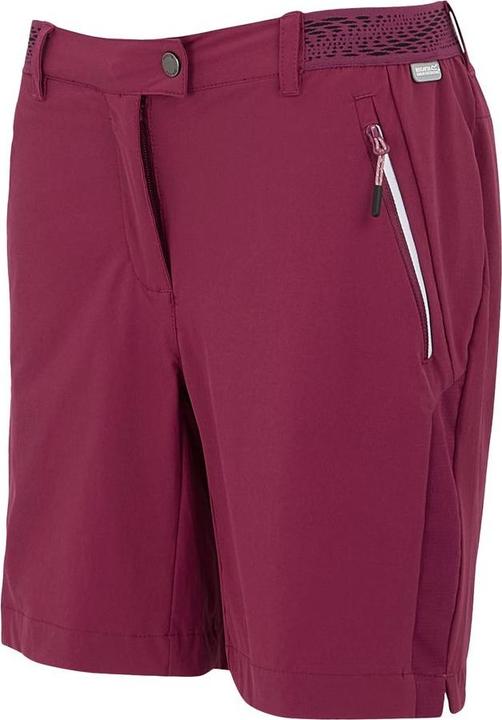 Actual product image Regatta Mountain Shorts II (S)