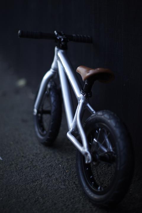 Actual product image Early Rider Alley Runner (12")