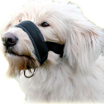 Produktbild Trixie Maulschlaufe (XXL, Hund, Hundesport, Jogging, Spazieren)