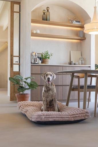 Produktbild Designed by Lotte Liegekissen Reza (Hund)