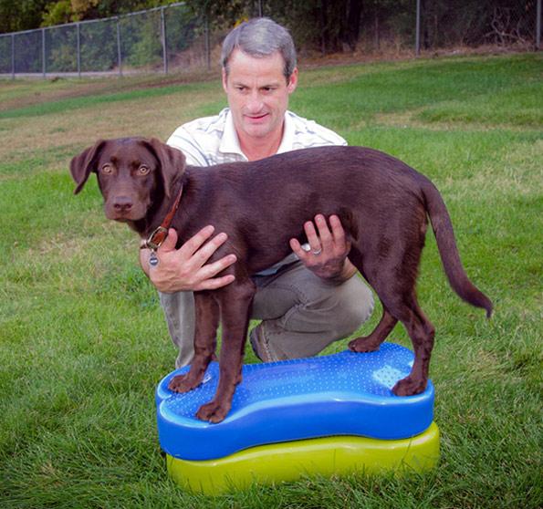 Produktbild FitPaws K9 Fitbone (Agility)