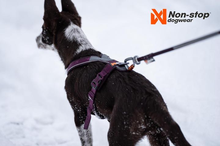 Actual product image Non-Stop Dogwear Line Harness 5.0 Orange 6 (6, Dog, General, Dog sport, Walks, Work, Pushbike)