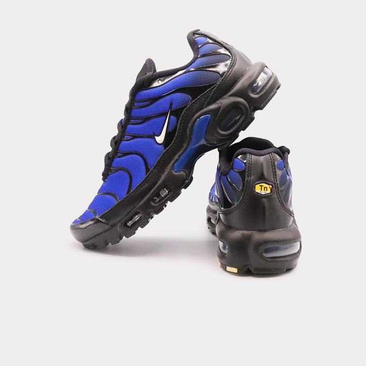 Actual product image Nike Air Max Plus (42.5)