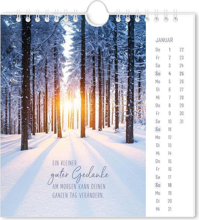 Produktbild Postkartenkalender 2026 Lichtblicke (16 x 17 cm, Harter Einband, Deutsch)