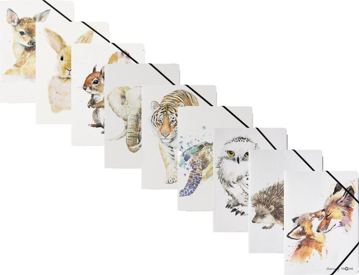 Actual product image Pagna Folder A4 Save me No.4 3pcs assorted (A4, 1 x)