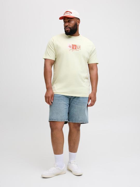 Produktbild Jack & Jones Plus Size T-shirt T-shirt (7XL)