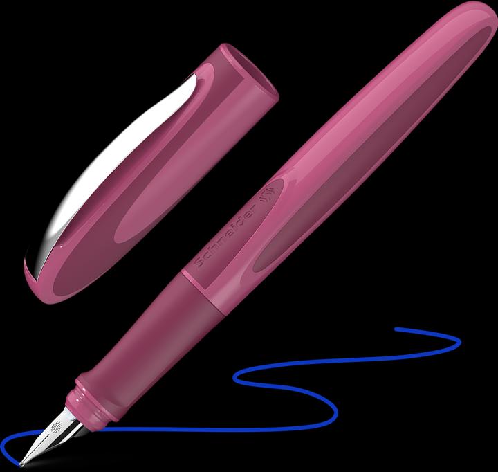 Immagine prodotto Schneider Ray (Boysenberry, 1 x)