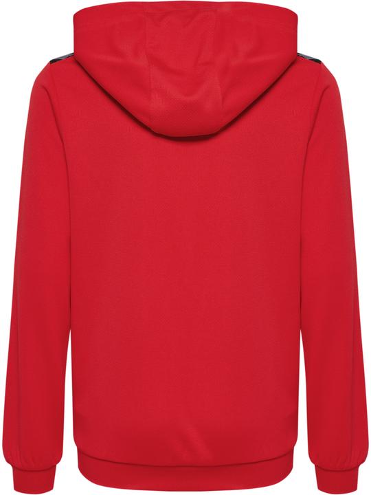 Actual product image hummel Hmlauthentic Pl Hoodie Kids (152)