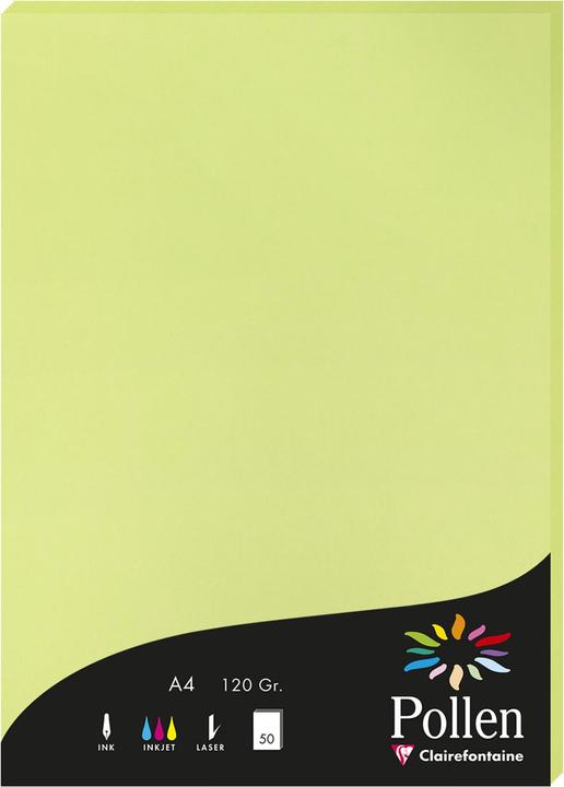 Leaf Bud Green