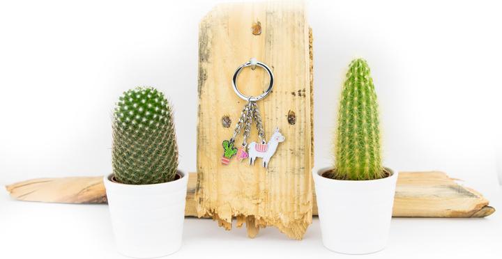 Actual product image Troika PAKO key fob