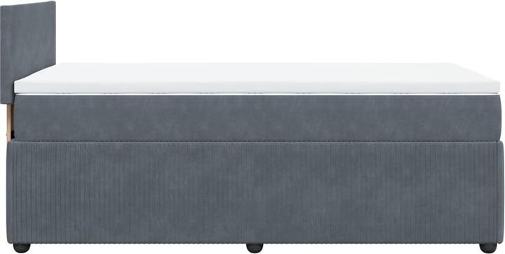 Image du produit VidaXL Bo x lit de saut avec matelas 100 x 200 cm velours (100 x 200 cm)
