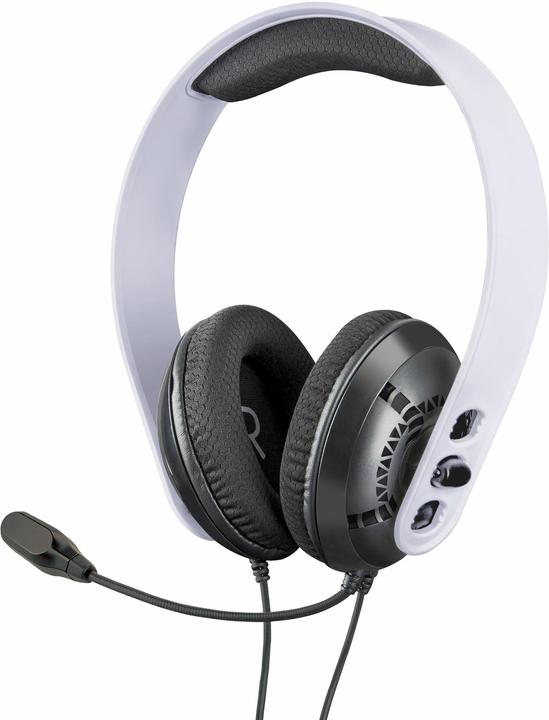 Actual product image Raptor Gaming H200 (Cable)