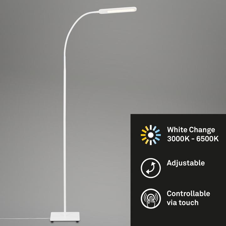 Image du produit Briloner Cct (600 lm)